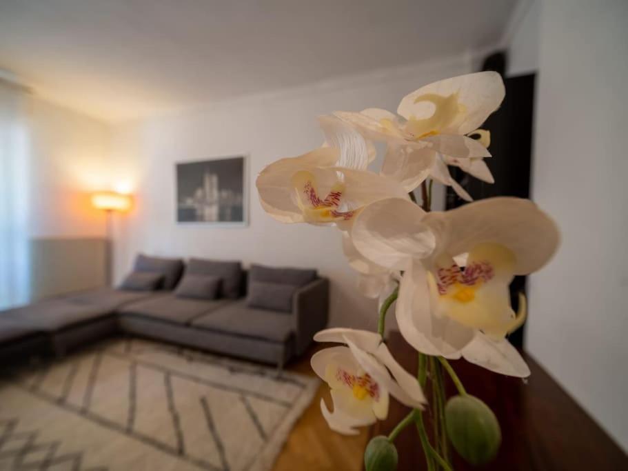 Appartement Climatise Tout Equipe A Cote Du Stade Velodrome Марсилия Екстериор снимка